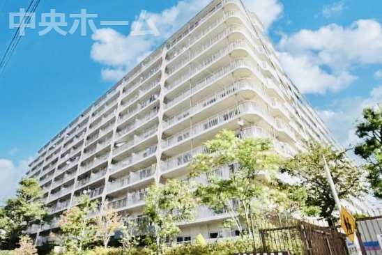 外観：313004478103