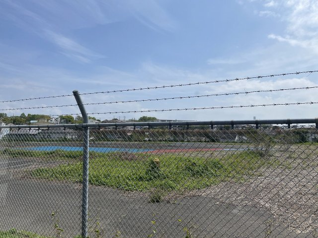 洋室から