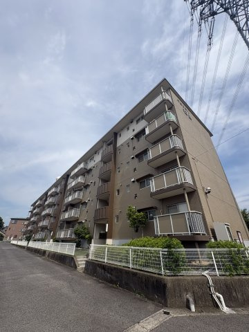 外観：323000519620