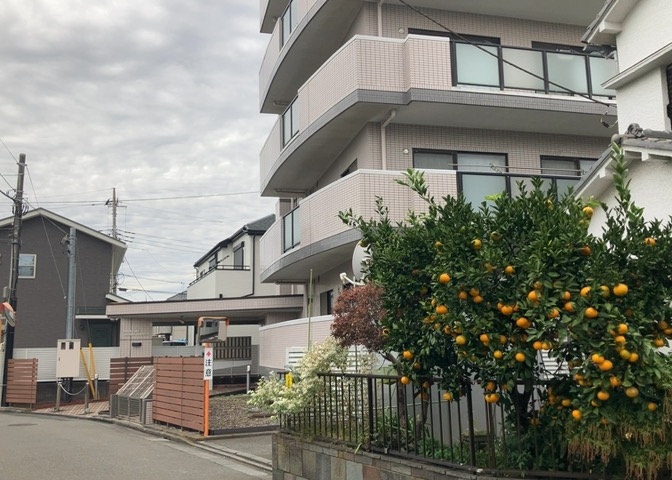 外観：313004488479