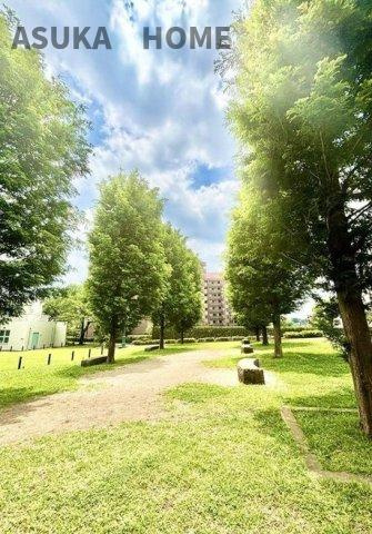 26　000m2を超える敷地にはメタセコイヤが並んで建植されております。
