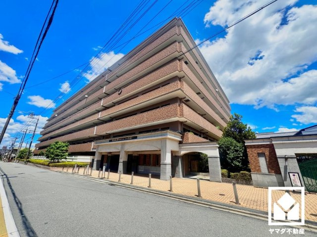 外観：326000196546