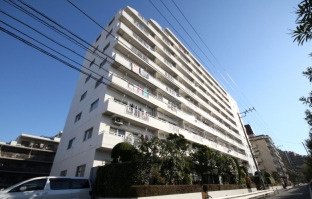 外観：313004629362