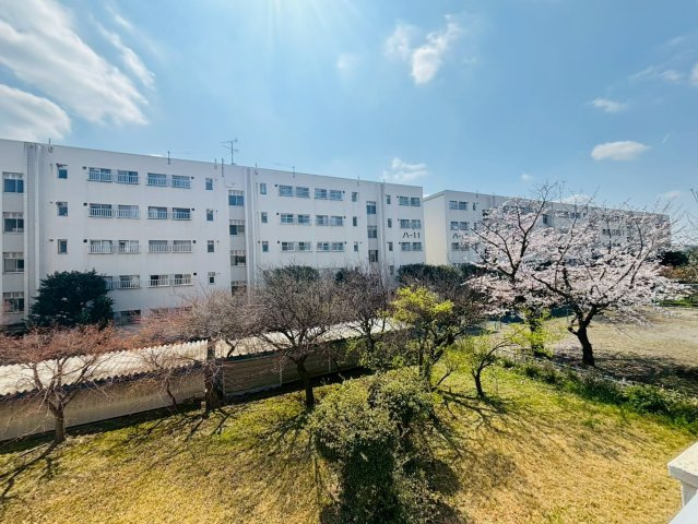 隣に公園があり緑が広がる眺望です♪　前面に棟がありますが間隔が広いので圧迫感はございません。