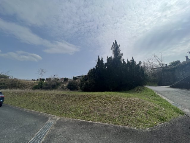 外観：343000061618