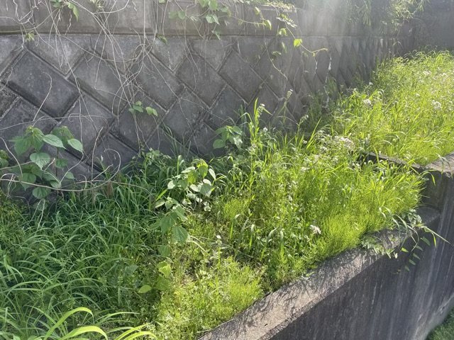 市街化調整区域とは、自然環境を保つことが目的になっている地域で住宅用地として購入することはほぼ出来ません。事業用や資材置き場などその場所を有効活用したい方にお勧めです。田園地帯や自然が多いエリアです。