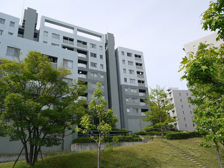 外観：334000241138