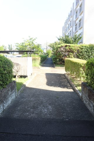 敷地内は手入れの行き届いた緑が多く癒されます