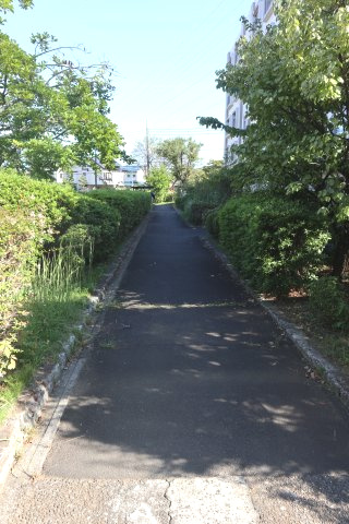 敷地内通路です　