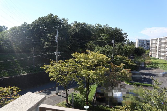 緑が身近にある暮らしは癒されますね