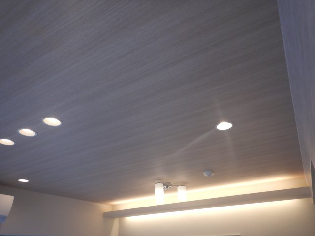 照明