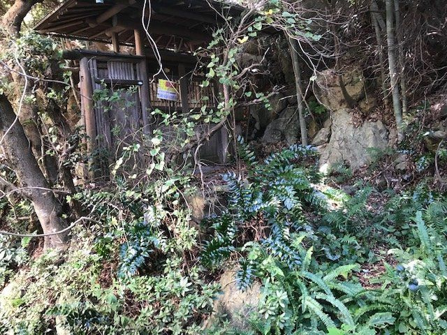 外観：330000084673