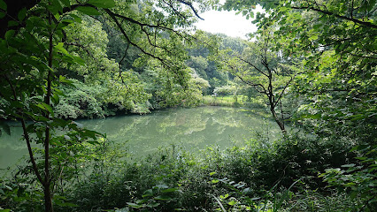 長池公園まで徒歩4分