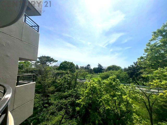 物件からの展望