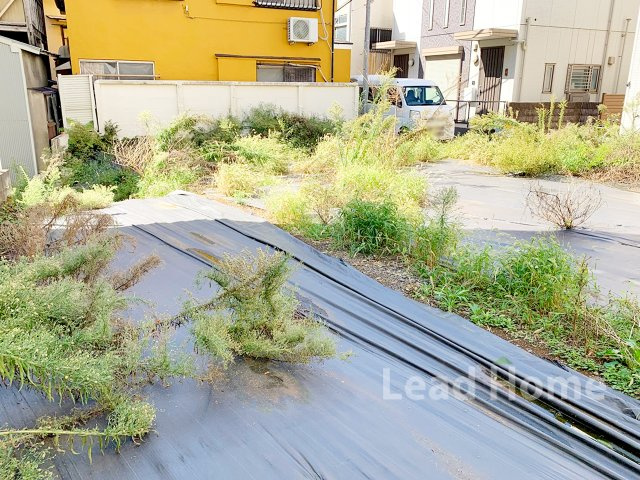 外観：313004648996