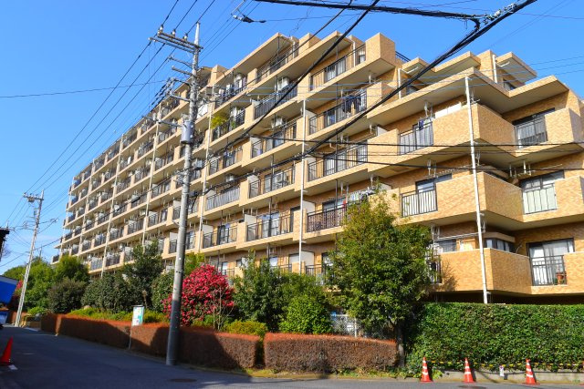 外観：313004662673