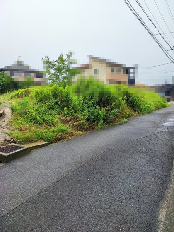 外観：323000513386