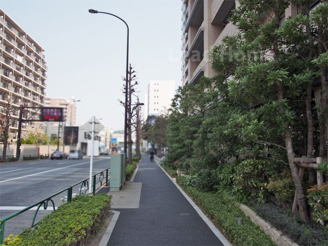 前面道路