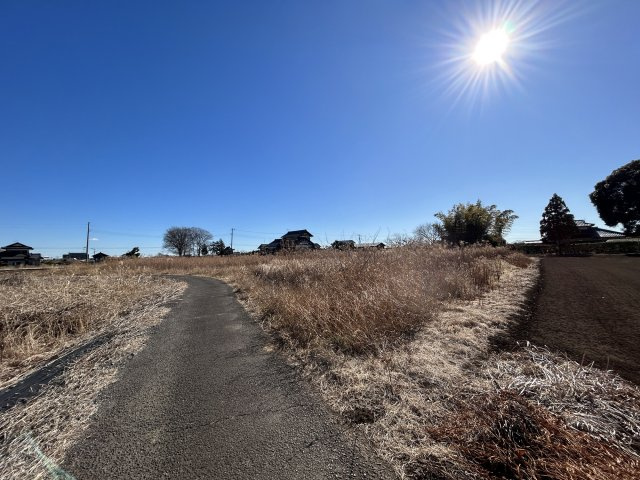 外観：308000172950