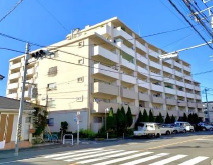 外観：313004401498