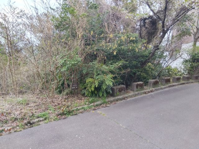 外観：322000549659