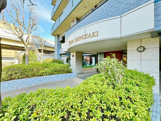 外観：313004612895