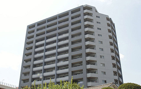 外観：313004659811