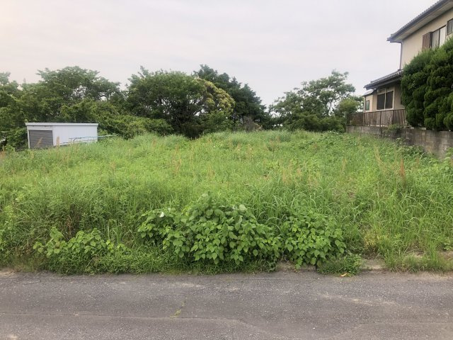 外観：308000174460