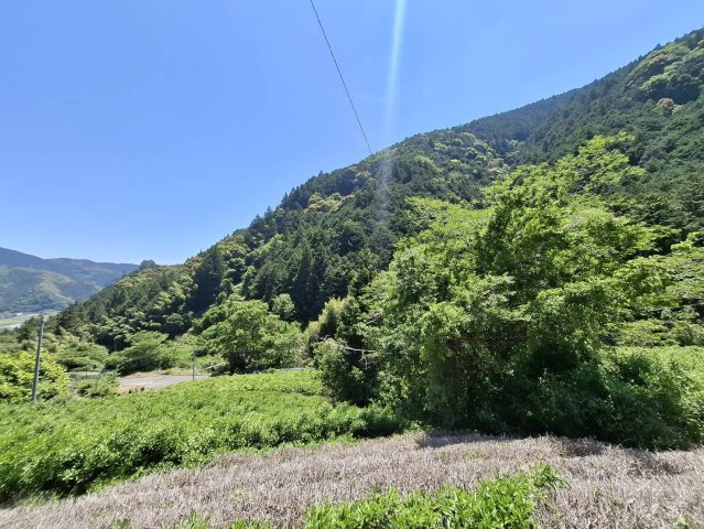 外観：322000598920