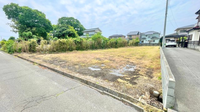 外観：311002188734