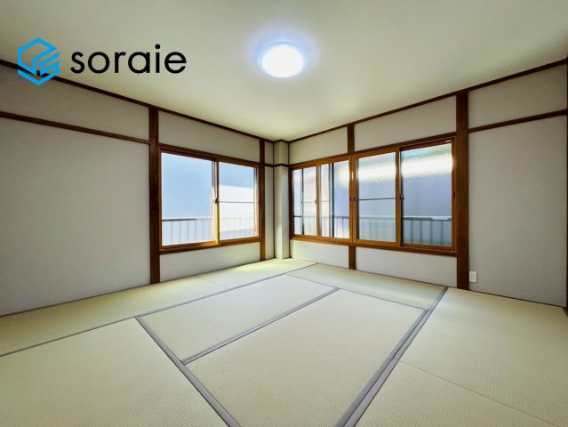 2月19日撮影