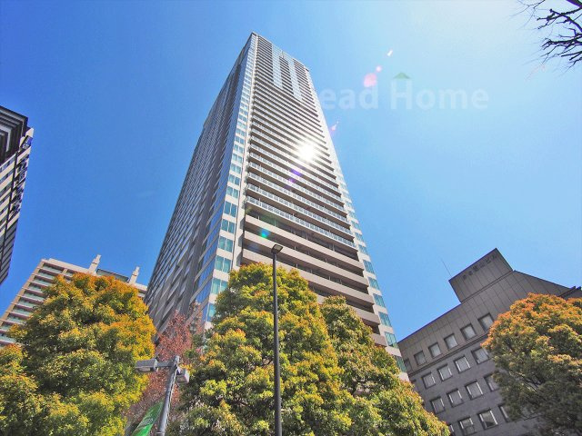 外観：313004684427