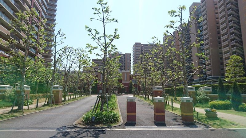 ゆったりとした敷地内