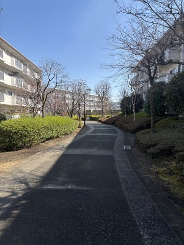 敷地内前面道路です♪