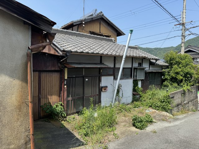 外観も気になるポイント