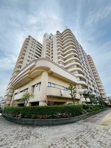 外観：327002234582