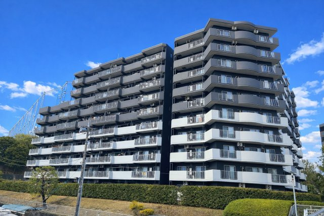 外観：314002684033