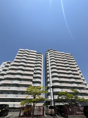 外観：328000596560