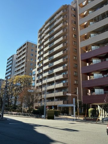 外観：313004564991