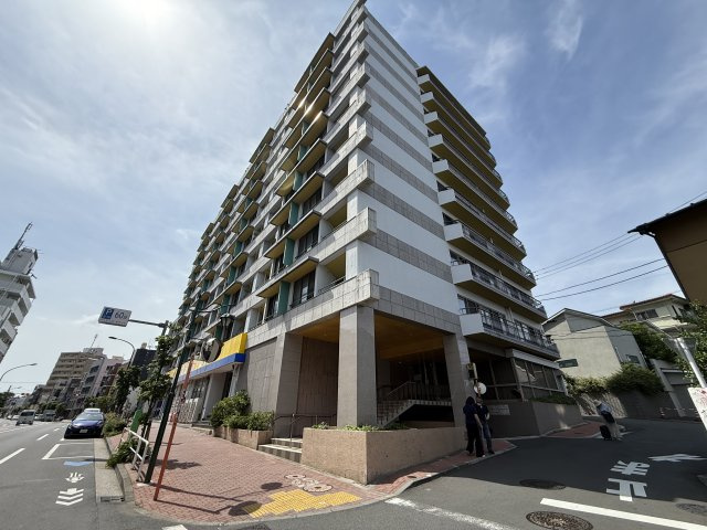 外観：313004808663
