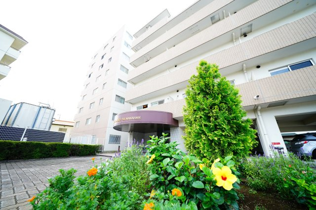 現地写真　エントランスのお花や植物は綺麗に管理されています♪