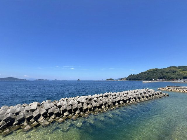 展望