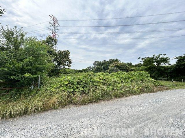 外観：312001032507