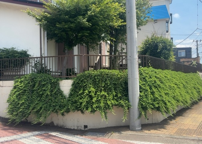 土地を買う際、住む地域の自治体や福祉の補助制度にも注目してみましょう。子供や老人の医療補助やゴミ出しのルールなど、自治体によってルールに大きな違いがあるため、暮らしやすい土地で判断するとよいでしょう。