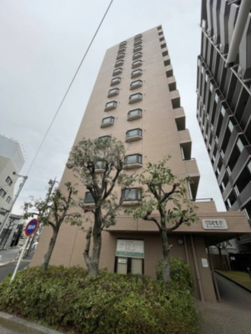 外観：313004647019