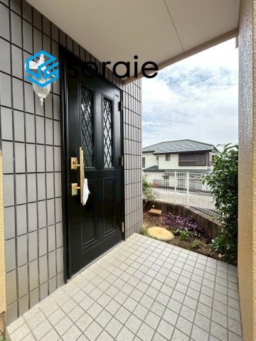 6/11撮影