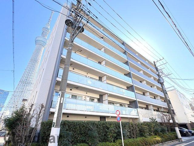 外観：313004694219