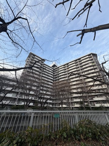 外観：313004725932