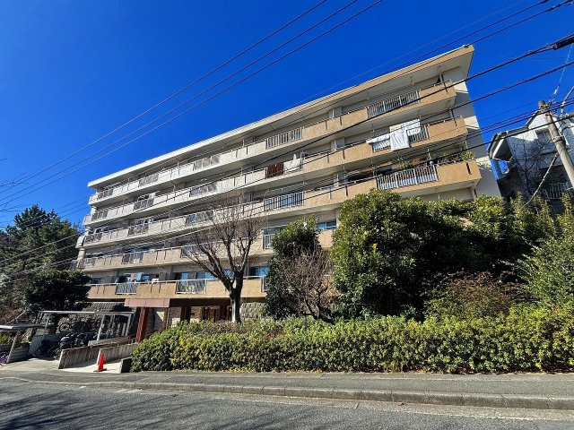 外観：314002676767