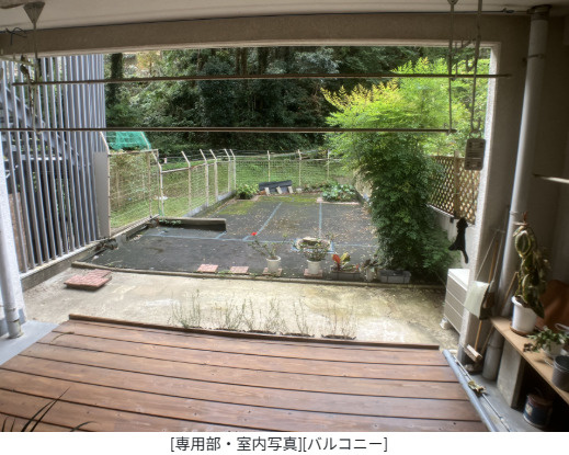 庭